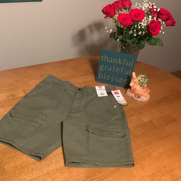Wrangler Other - Wranglers size 32 waist heavyweight hikers army green shorts NWT